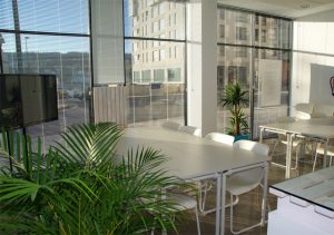 Gallery Seventh Slide 300x211